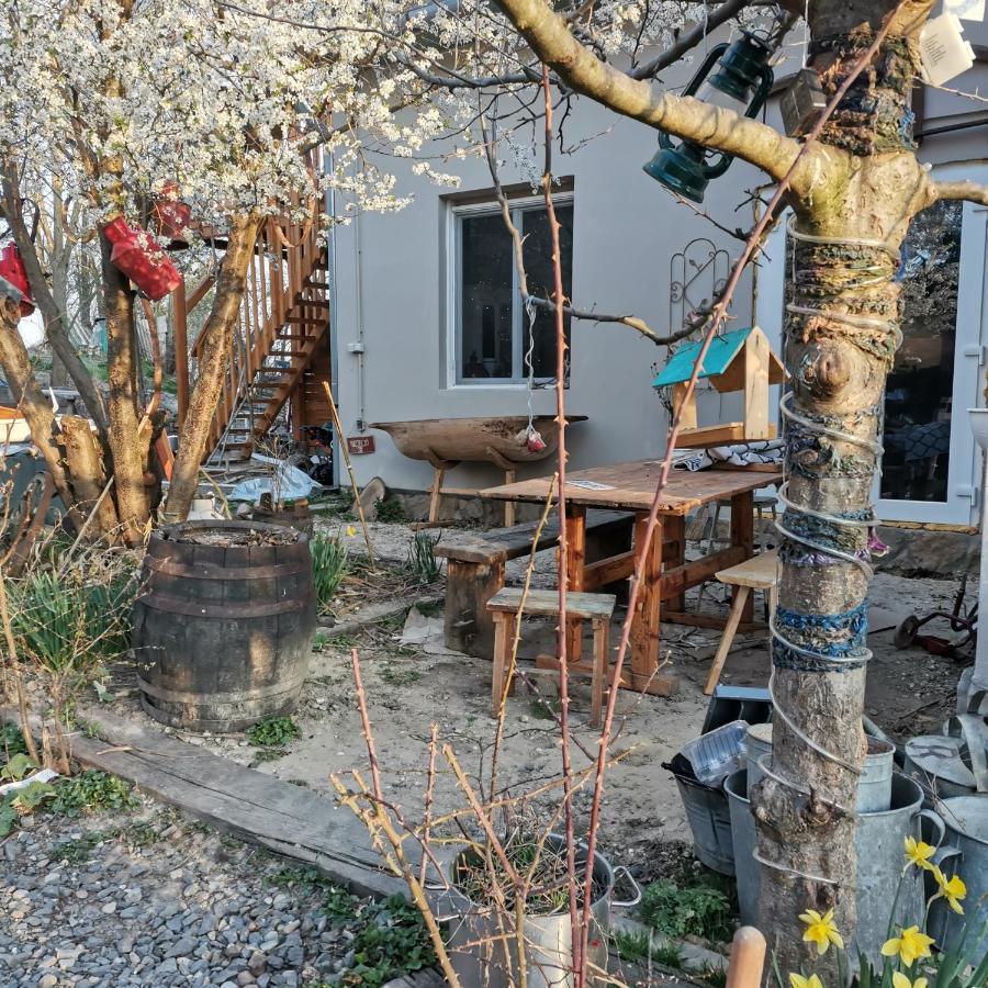 דירות Kaposhomok Forest View Studio מראה חיצוני תמונה
