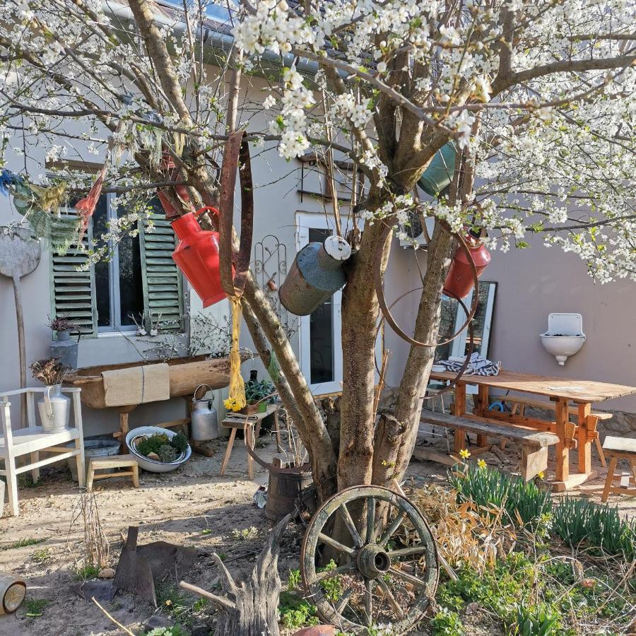 דירות Kaposhomok Forest View Studio מראה חיצוני תמונה