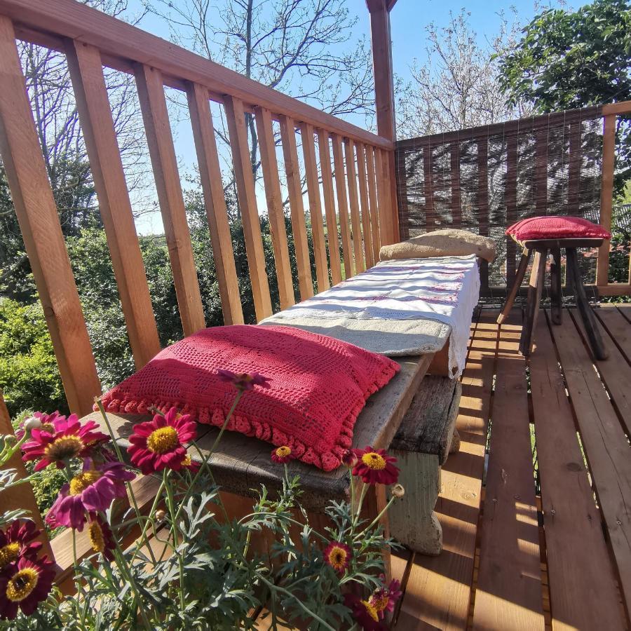 דירות Kaposhomok Forest View Studio מראה חיצוני תמונה